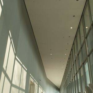 Light Management Films