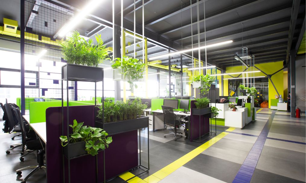 sustainable office with green plants